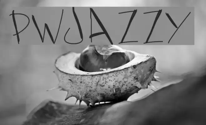 PWJazzy Font examples