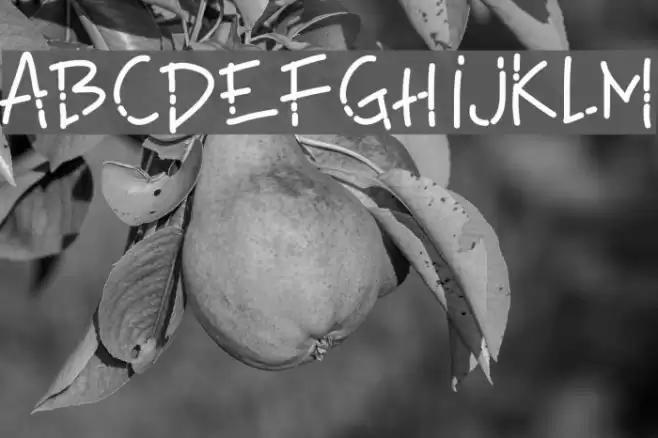 PWLinefont Font examples