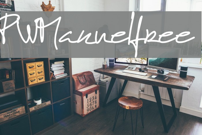 PWManuelfree Example 1