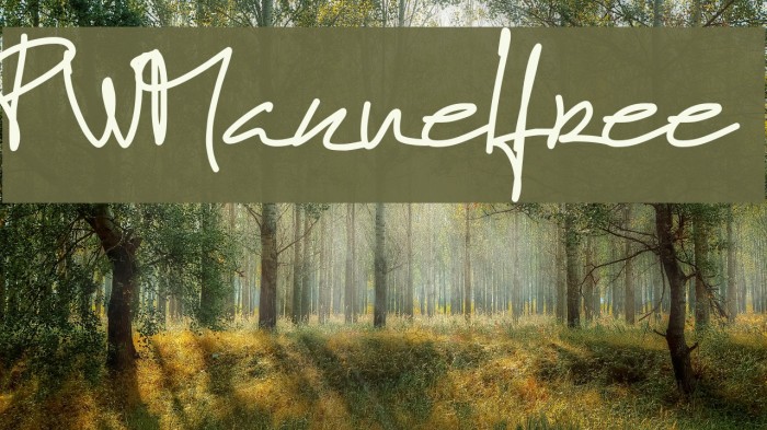 PWManuelfree Example 2