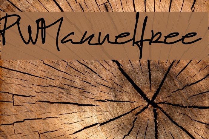 PWManuelfree Example 3