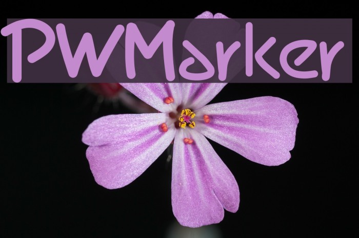 PWMarker Example 1