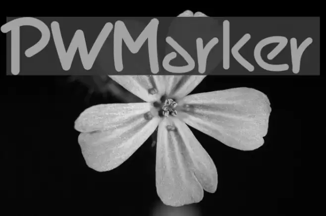 PWMarker Font examples