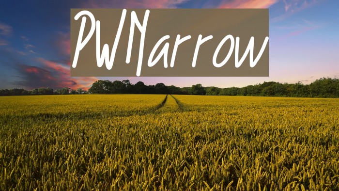 PWNarrow Font examples
