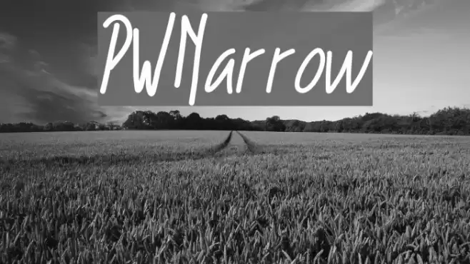 PWNarrow Font examples