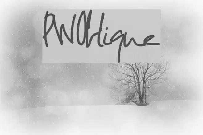 PWOblique Font examples