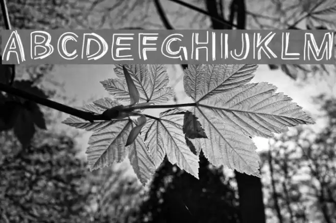 PWOpened Font examples