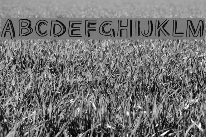 PWOpened Font examples