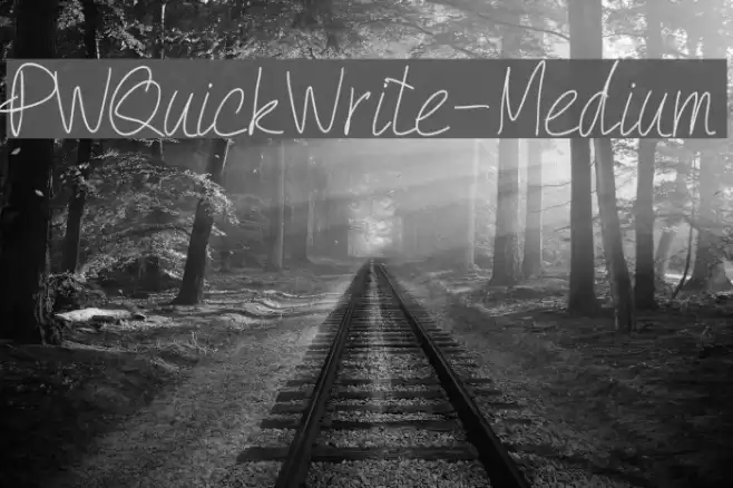 PWQuickWrite-Medium Font examples