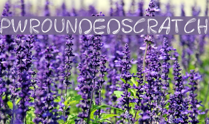 PWRoundedScratch Font examples