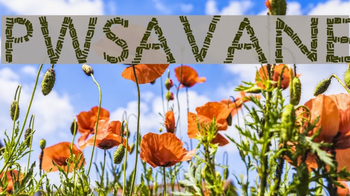 PWSavane Font examples