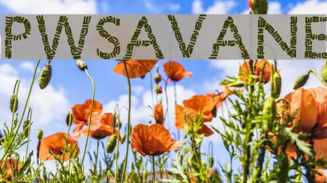 PWSavane Example 2