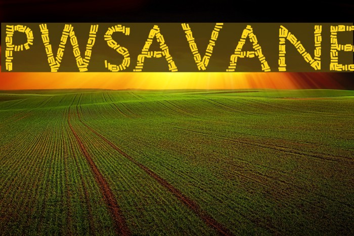 PWSavane Font examples
