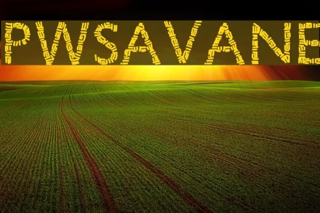 PWSavane Example 3