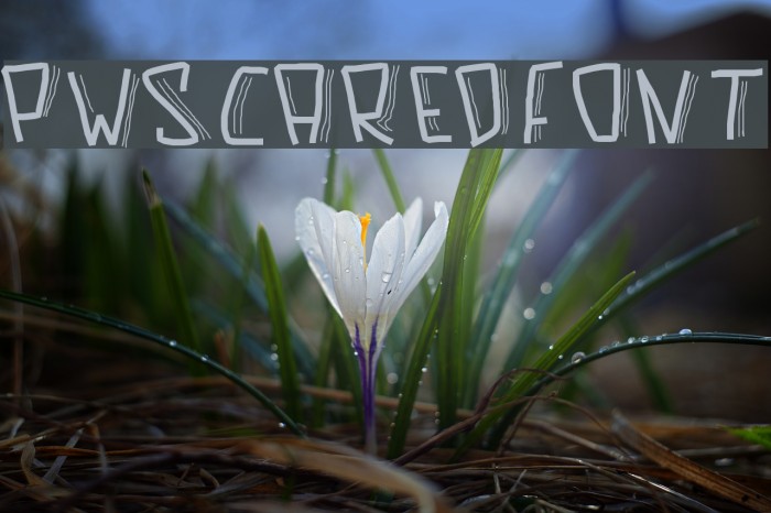 PWScaredFont Example 1