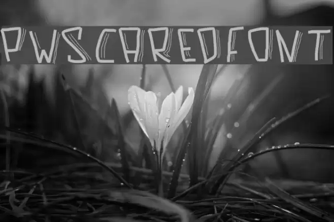 PWScaredFont Font examples