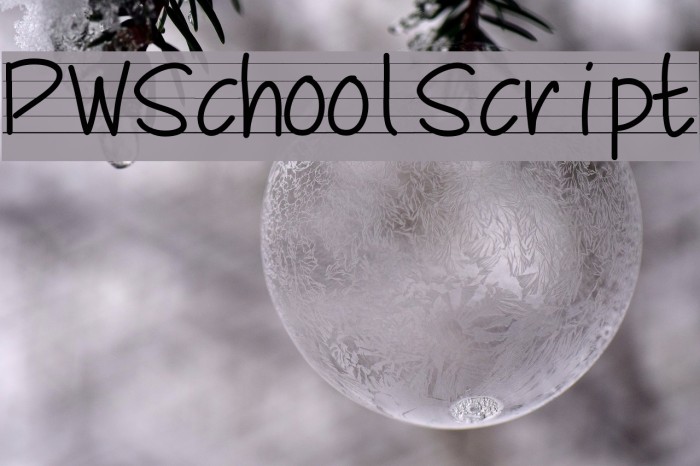 PWSchoolScript لخطوط تنزيل examples