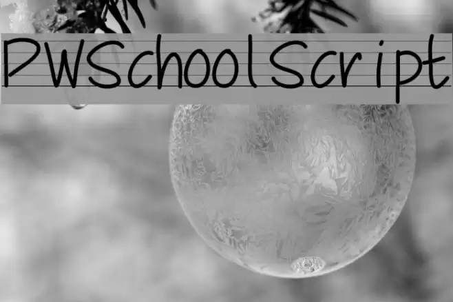 PWSchoolScript Font examples