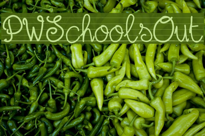 PWSchoolsOut لخطوط تنزيل examples