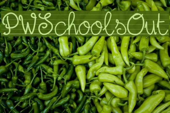 PWSchoolsOut Example 3