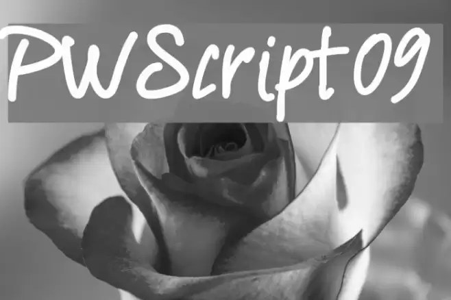 PWScript09 Font examples