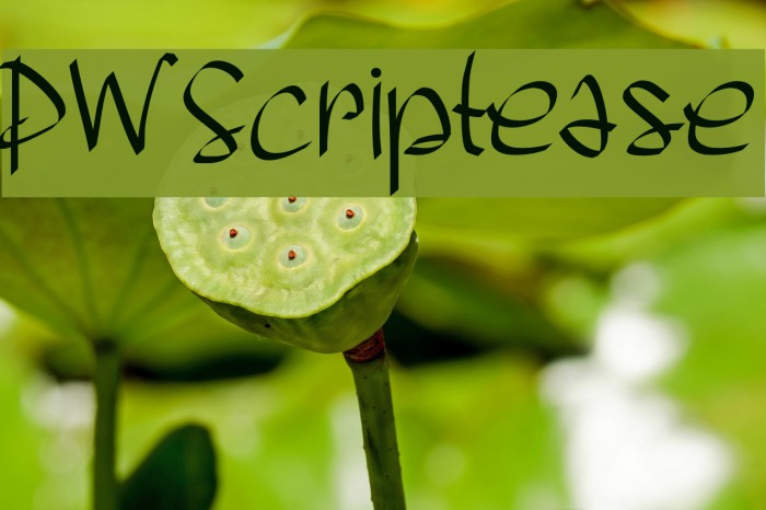 PWScriptease Font examples