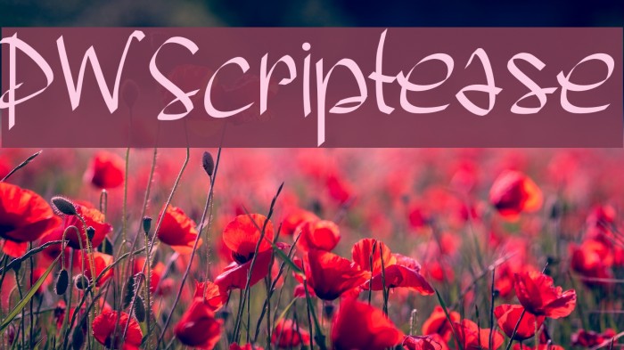 PWScriptease Font examples
