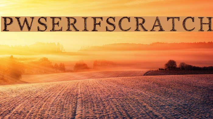PWSerifScratch Font examples