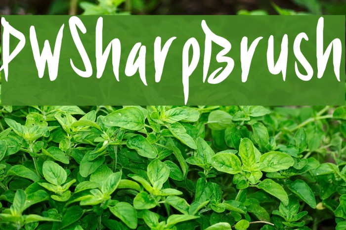 PWSharpBrush Font examples