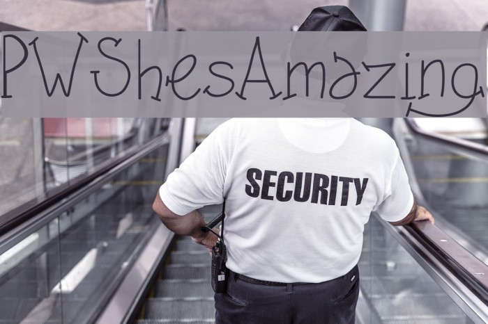 PWShesAmazing Font examples