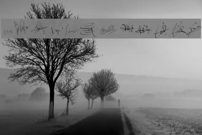 PWSignatures Font examples