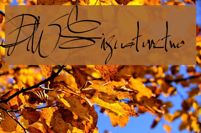 PWSignaturetwo Font examples