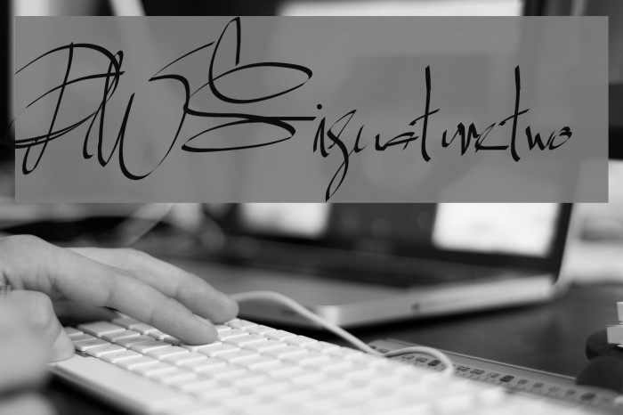 PWSignaturetwo Font examples