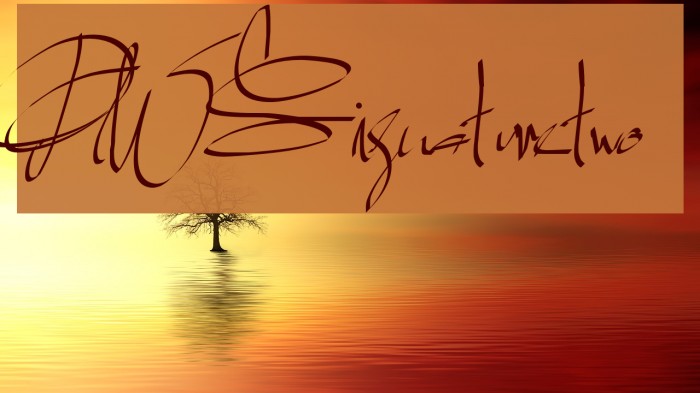 PWSignaturetwo Font examples