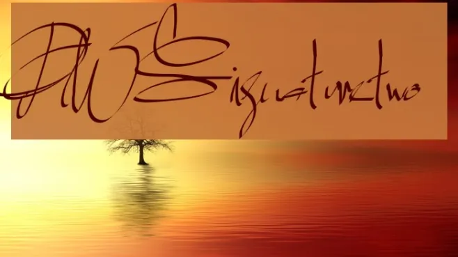 PWSignaturetwo Example 3