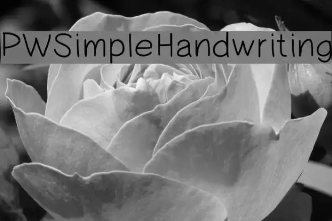 PWSimpleHandwriting Font examples