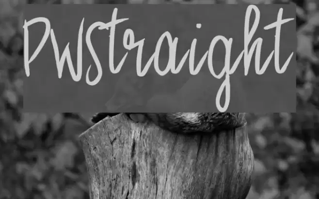 PWStraight Font examples