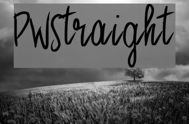 PWStraight Font examples