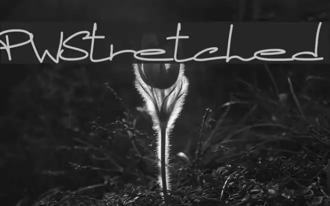 PWStretched Font examples