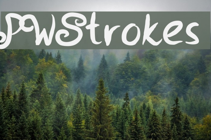 PWStrokes Font examples