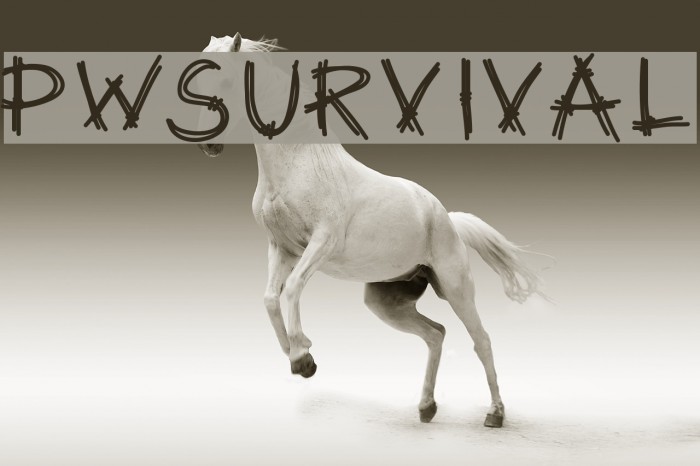 PWSurvival Font examples