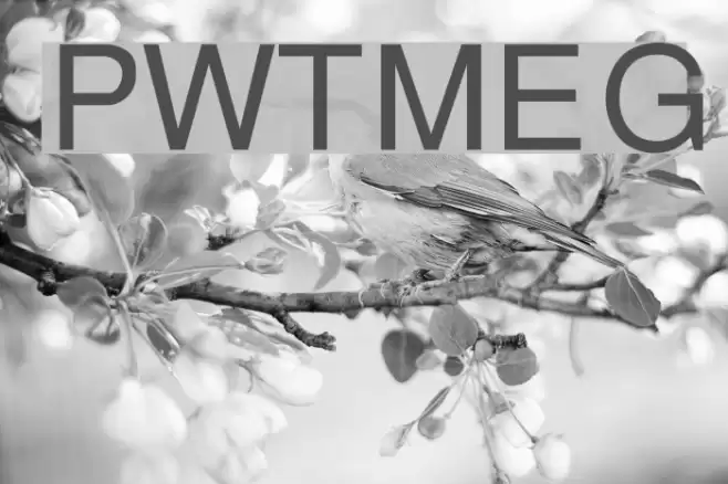 PWThaiMonospacedEG Font examples