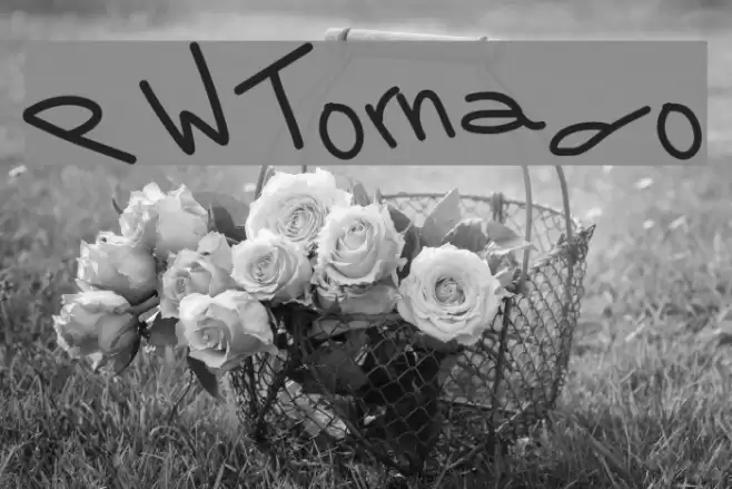 PWTornado Font examples