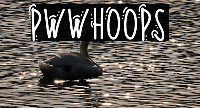 PWWhoops Font examples