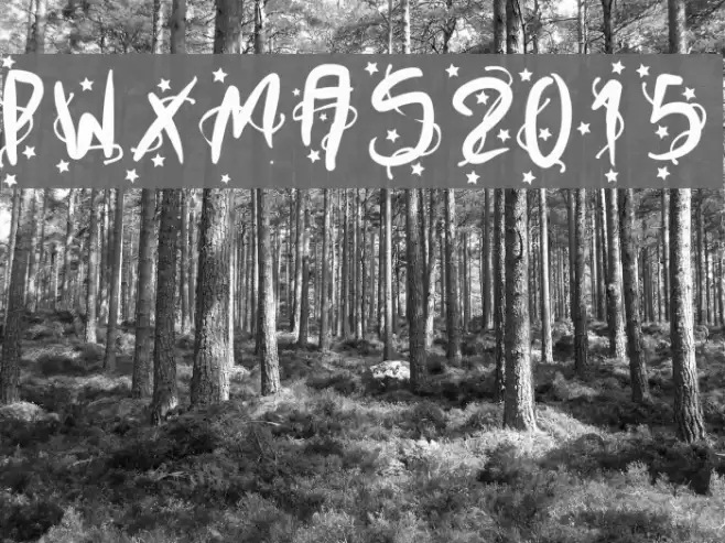 PWXmas2015 Font examples