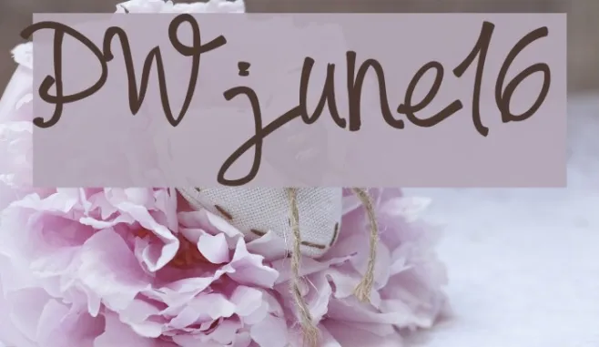 PWjune16 Example 1