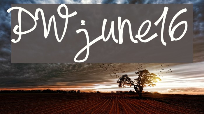 PWjune16 Font examples