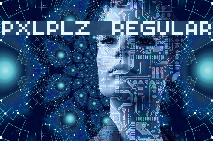 PXLPLZ Regular Example 2