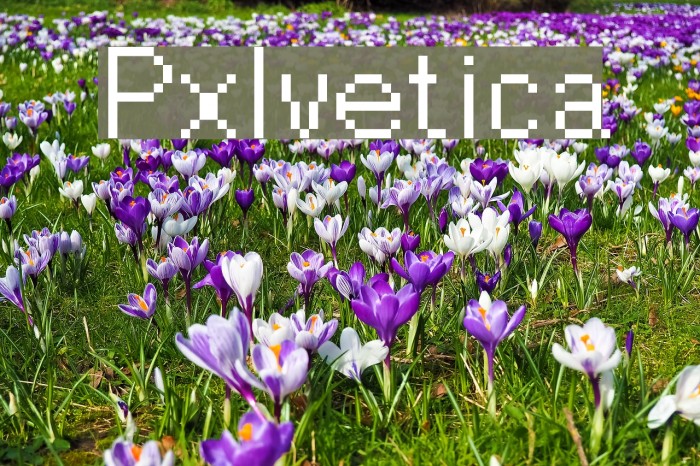 Pxlvetica Example 2