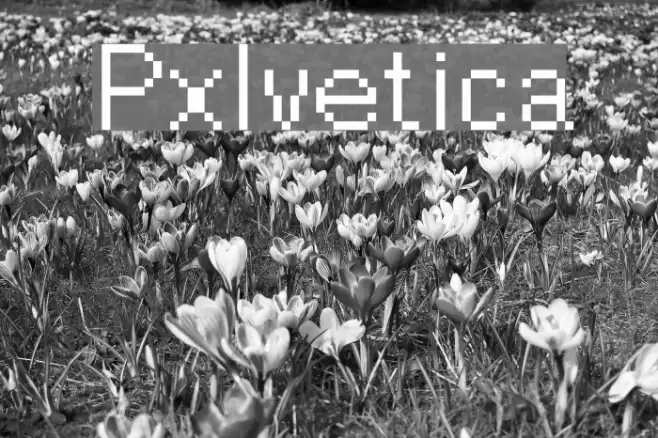 Pxlvetica Font examples